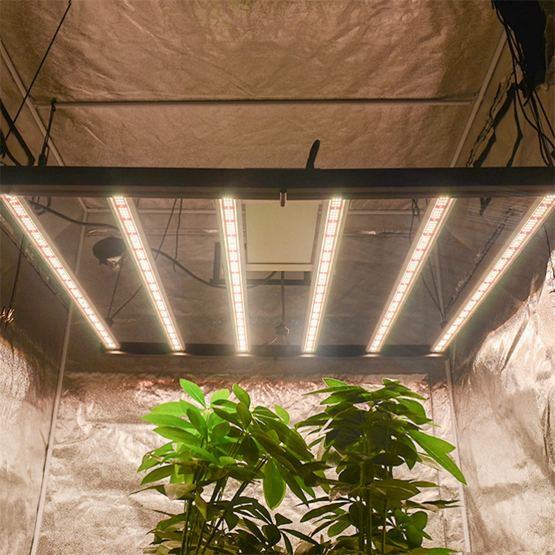 激光植物補光燈跟LED植物補光燈哪個(gè)效果會好些?(圖1) 激光植物補光燈跟LED植物補光燈哪個(gè)效果會好些?(圖1)